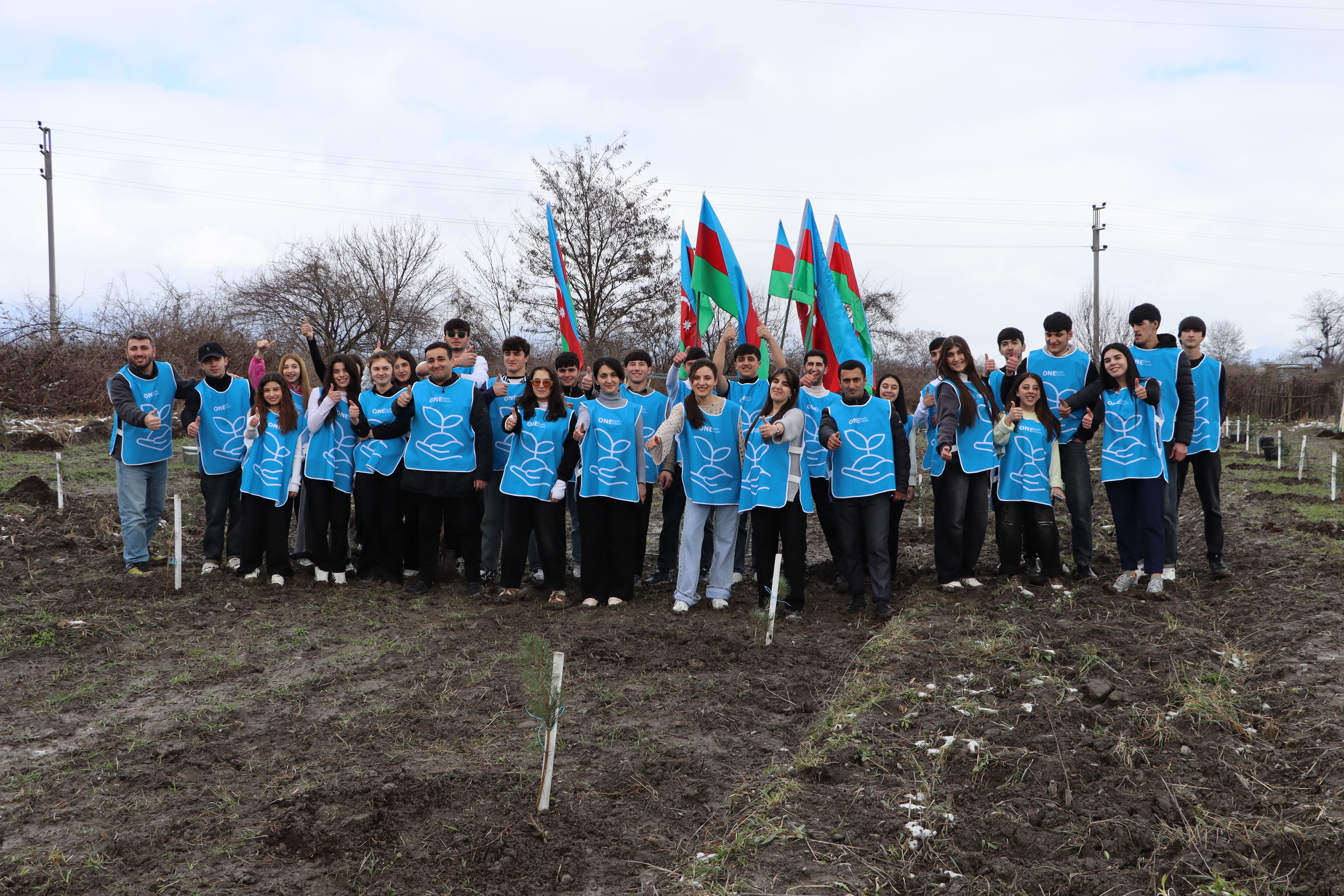 IDEA Şəki və Qəbələdə kütləvi ağacəkmə aksiyası təşkil etdi (FOTO)